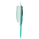 Brush Disney Princess Jasmine